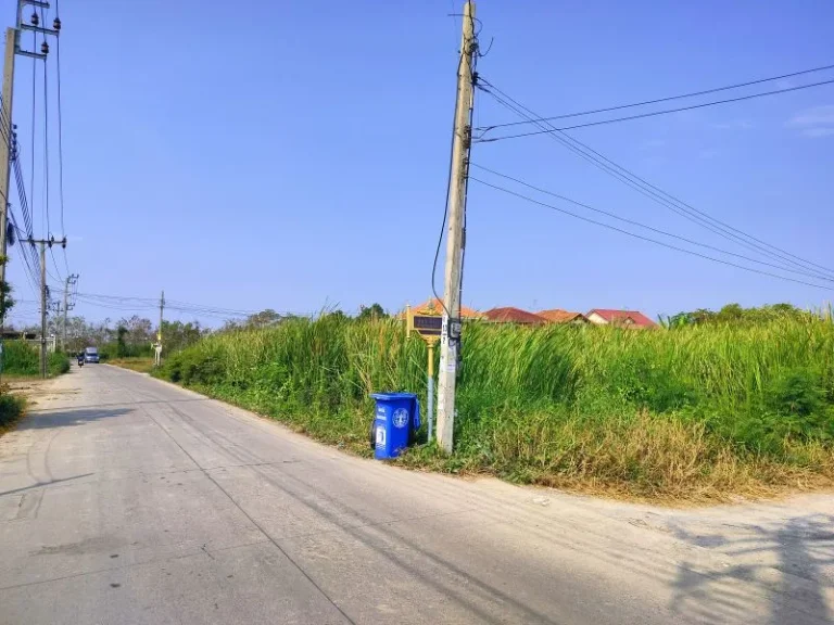 ที่ดินแปลงมุม 100 ตรวซอยบางม่วง2 ในซอยพระเงิน บางใหญ่