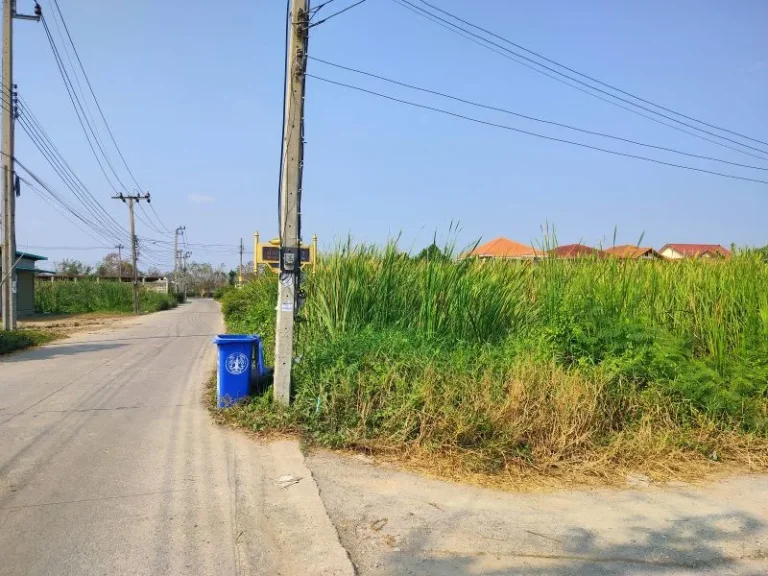 ที่ดินแปลงมุม 100 ตรวซอยบางม่วง2 ในซอยพระเงิน บางใหญ่