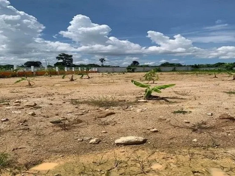 ขายที่ดินเปล่า ศรีราชา-นาพร้าว เหมาะสำหรับสร้างบ้านอยู่อาศัย