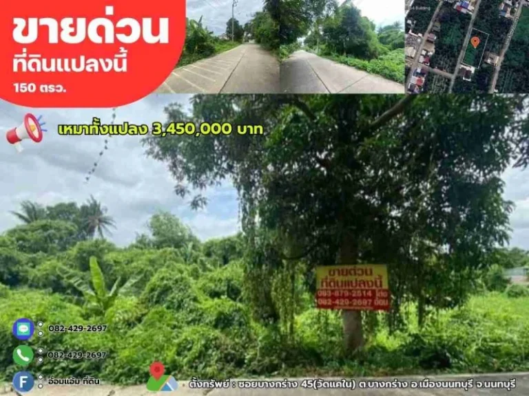 ขายด่วนที่ดิน 150 ตรว ซอยบางกร่าง45 เมืองนนทบุรี จนนทบุรี