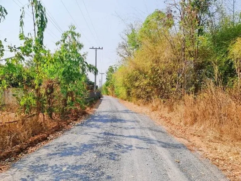 ที่ดินติดถนน รูปแปลงสวย น้ำ-ไฟถึง เดินทางสะดวก