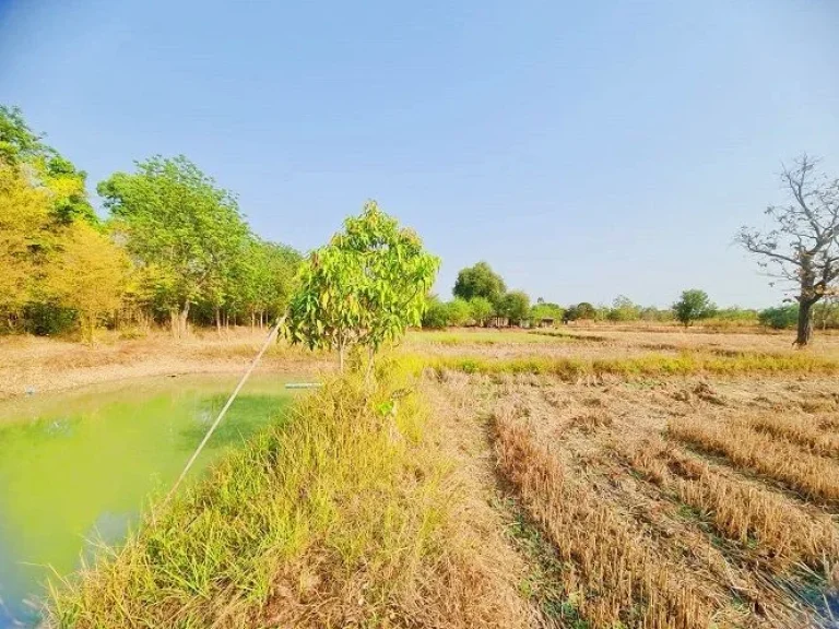 ที่ดินท้ายบ้านหนองคู ห่างตัวขอนแก่น 20กม