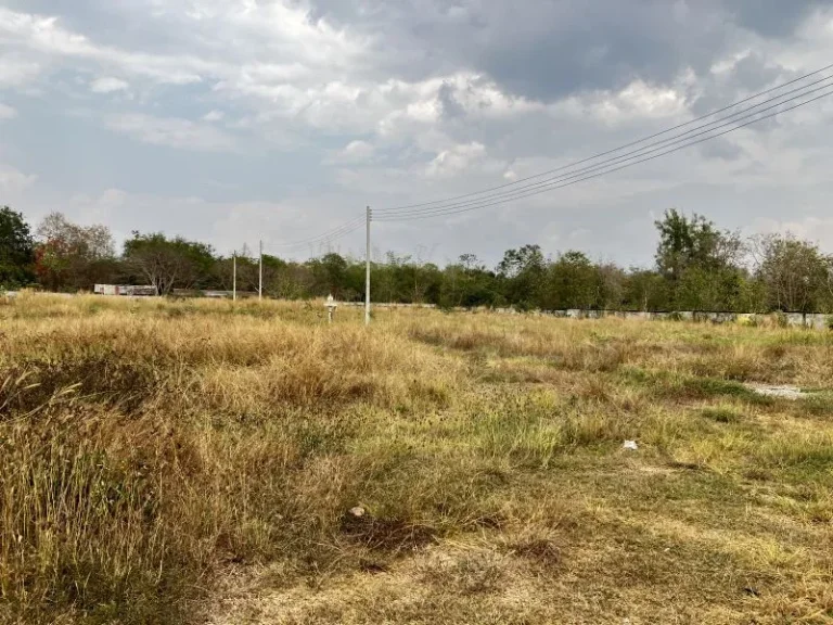 ที่ดินทำเลทอง ติดถนนใหญ่ ตรงข้ามราชภัฏลำปาง เหมาะสุดๆ