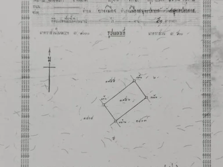 ประกาศขายที่ดิน 100 ตรว ตำบลปากน้ำ อำเภอเมือง สมุทรปรการ