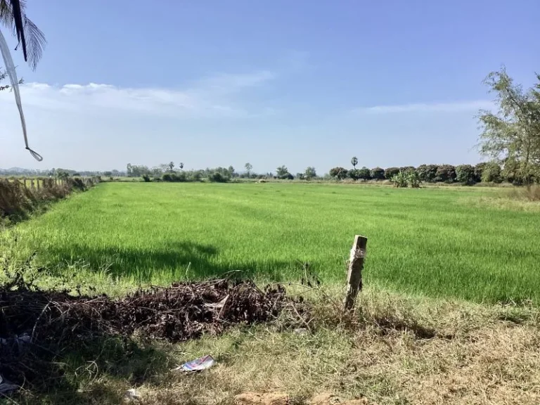 บ้านพร้อมที่ดินขายถูก สระแก้ว อเมือง สุพรรณบุรี