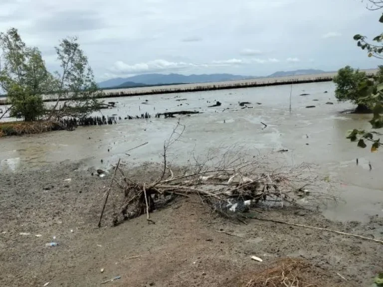 ขายที่ดินติดถนนสุขุมวิทสายเก่าอำเภอบางประกง