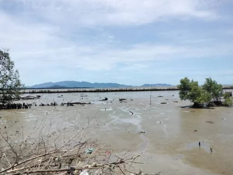 ขายที่ดินติดถนนสุขุมวิทสายเก่าอำเภอบางประกง