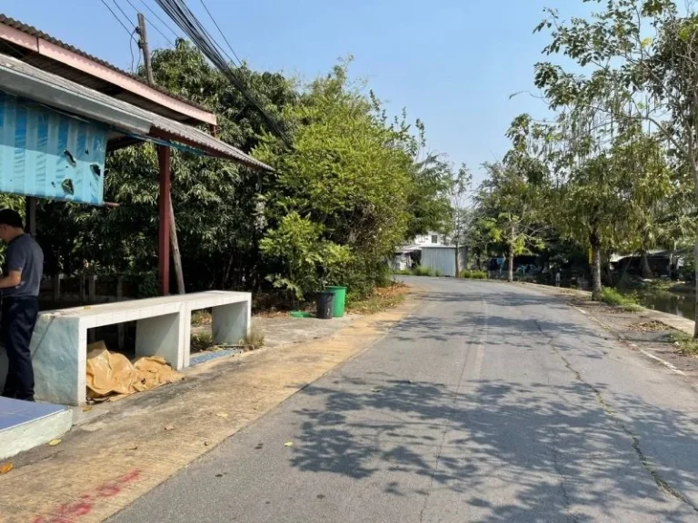 ขายที่ดิน 695 ตรวซบางรักใหญ่ 24 ใกล้วัดบางไผ่