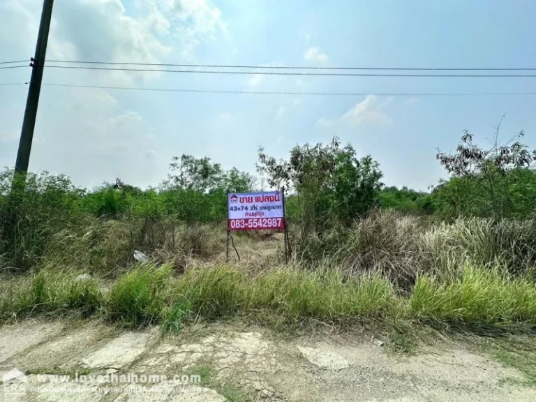 ขายที่ดิน ในซอยคลองสี่ตะวันตก 31 คลองหลวง ปทุมธานี พื้นที่