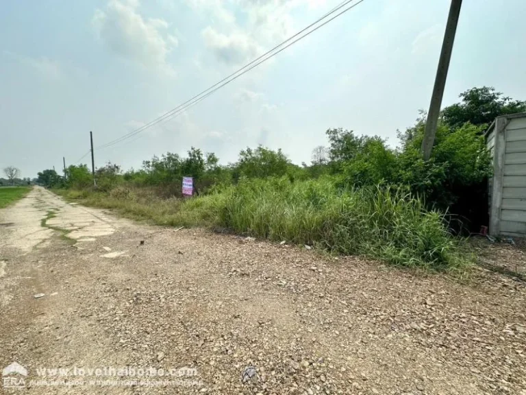 ขายที่ดิน ในซอยคลองสี่ตะวันตก 31 คลองหลวง ปทุมธานี พื้นที่