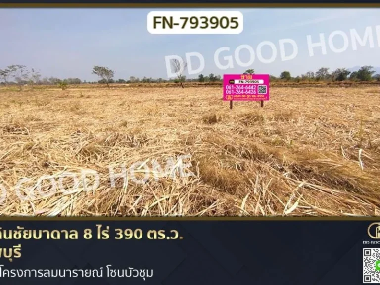 ที่ดินชัยบาดาล 8 ไร่ 390 ตรว ลพบุรี ใกล้โครงการลมนารายณ์