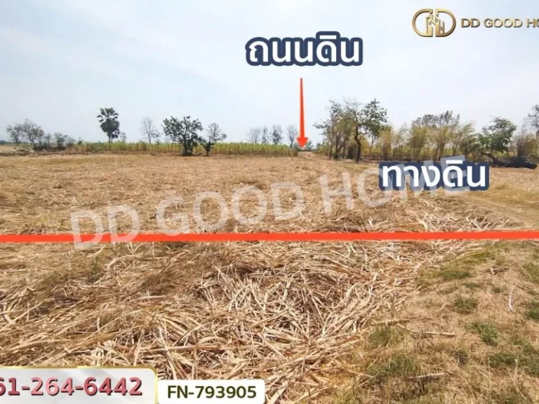 ที่ดินชัยบาดาล 8 ไร่ 390 ตรว ลพบุรี ใกล้โครงการลมนารายณ์