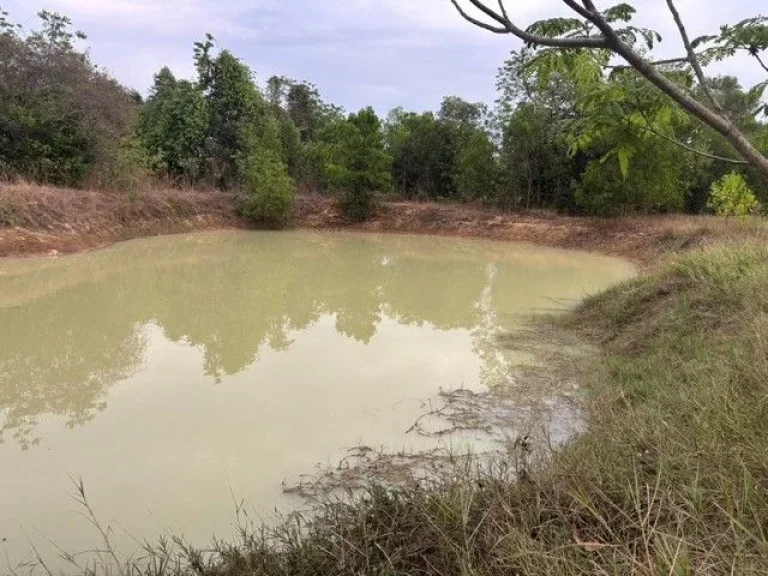 ที่ดินเปล่า หนองป่าง ตลาดกระทิง อสนามชัยเชต ฉะชิงเทรา