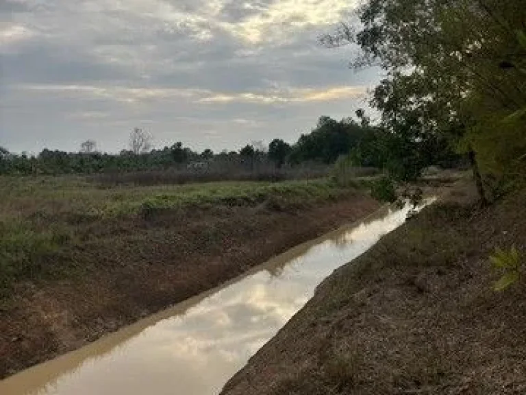 ที่ดินเปล่า หนองป่าง ตลาดกระทิง อสนามชัยเชต ฉะชิงเทรา