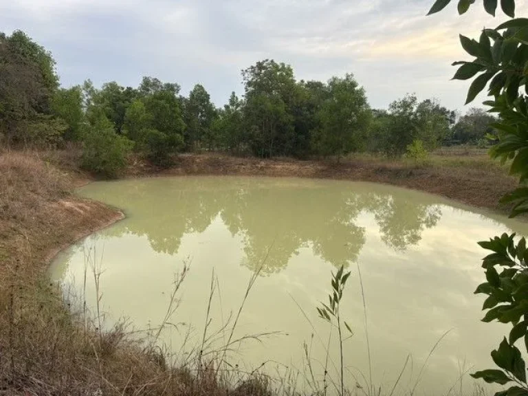 ที่ดินเปล่า หนองป่าง ตลาดกระทิง อสนามชัยเชต ฉะชิงเทรา