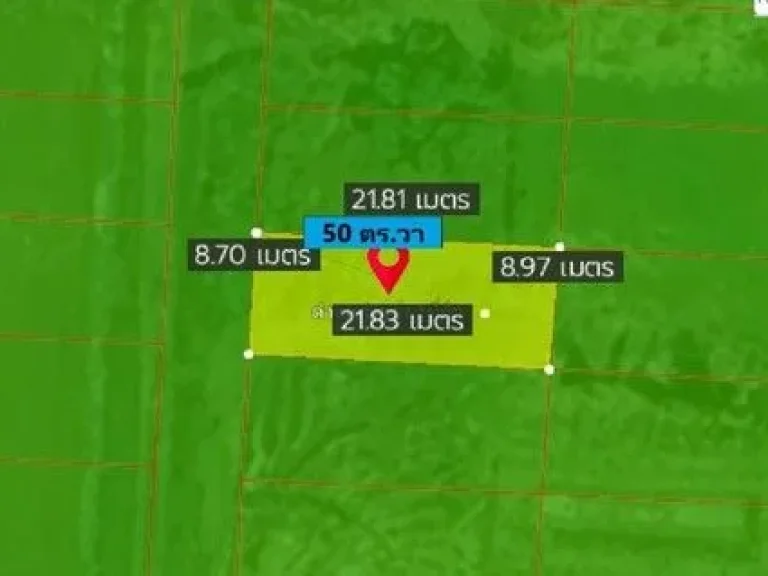 ขายที่ดิน 50 ตรวา เหมาะสำหรับสร้างบ้าน และทำเกษตร องครักษ์