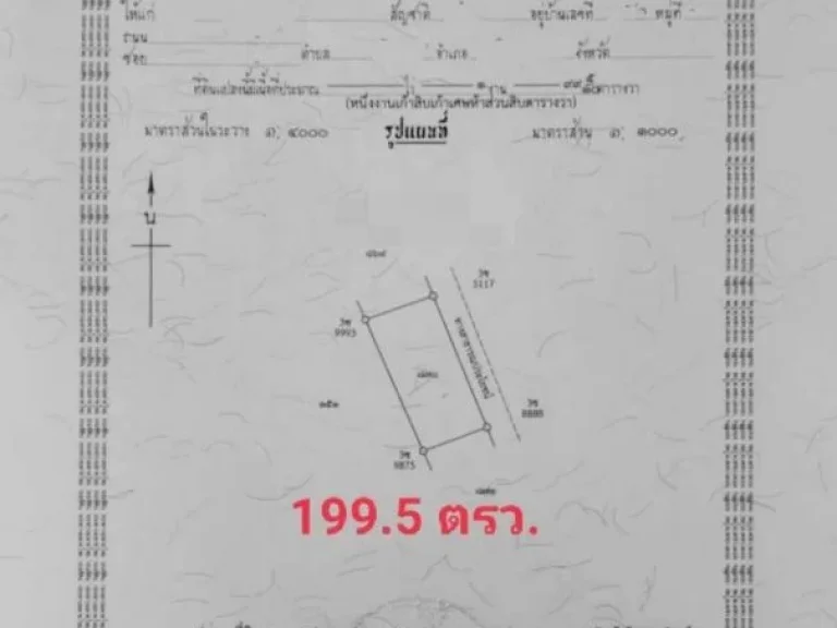 ขายสวนผสมแปลงเล็ก วิวภูเขาล้อมรอบ เหมาะทำบ้านสวนพอเพียง