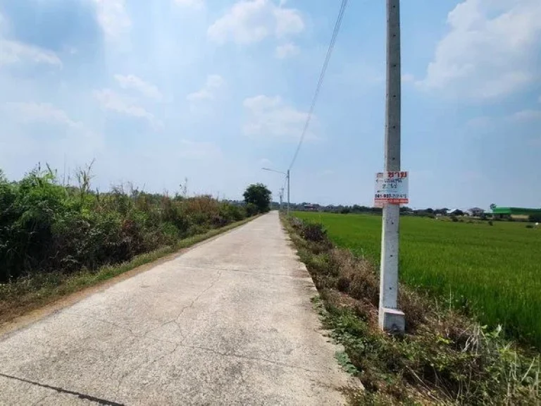 ขายที่ดิน บ้านม้า ใกล้คลองพระยาบันลือ บางไทร อยุธยา เนื้อที่