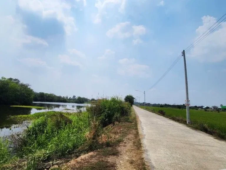 ขายที่ดิน บ้านม้า ใกล้คลองพระยาบันลือ บางไทร อยุธยา เนื้อที่