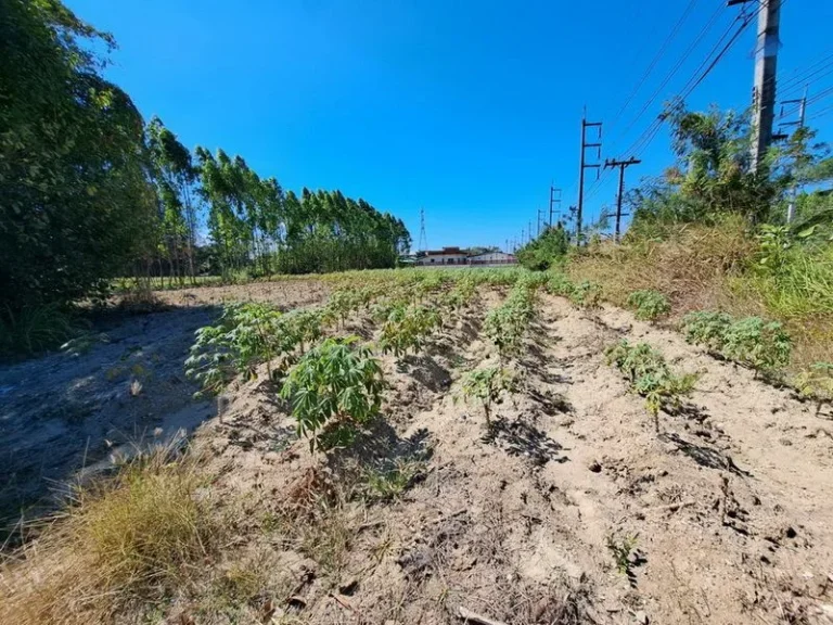 ขายที่ดินบ่อทอง 6 ไร่ ติดถนนทางหลวง ใกล้สี่แยกหนองเสม็ดชลบุรี