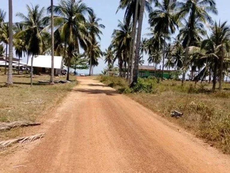 ขายที่ดินริมทะเล สุดพิเศษ -โอกาสการลงทุนที่คุณไม่ควรพลาด ขนาด