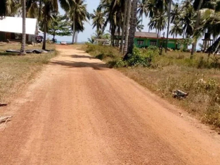 ขายที่ดินริมทะเล สุดพิเศษ -โอกาสการลงทุนที่คุณไม่ควรพลาด ขนาด