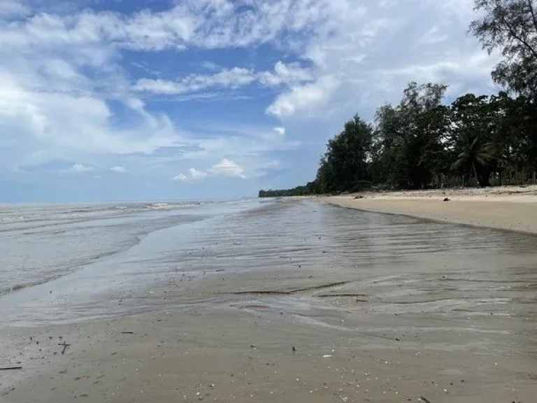 ขายที่ดินริมทะเล สุดพิเศษ -โอกาสการลงทุนที่คุณไม่ควรพลาด ขนาด