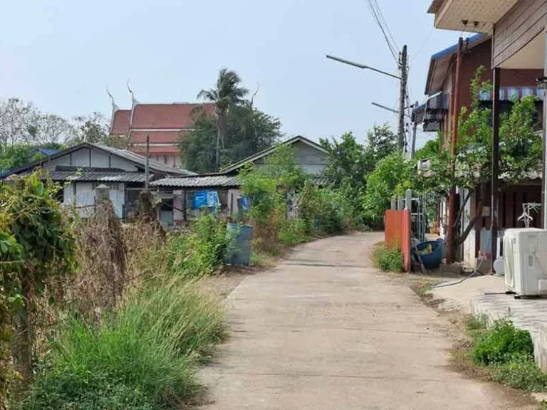 ขายที่ดินริมน้ำ 2 แปลง ตมดแดง ศรีประจันต์ สุพรรณบุรี