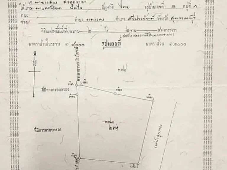 ขายที่ดินริมน้ำ 2 แปลง ตมดแดง ศรีประจันต์ สุพรรณบุรี