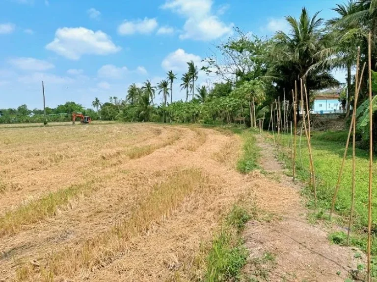 ขายที่ดินแปลงใหญ่ ทำเลทอง พุทธมณฑลสาย 5 ใกล้ตลาดน้ำดอนหวาย