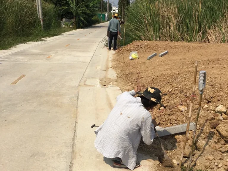 ขายที่ดินเปล่า 59 ตรว ถนนบางม่วง-บางคูลัด ซอยสมพร 25000ต่อ ตรว