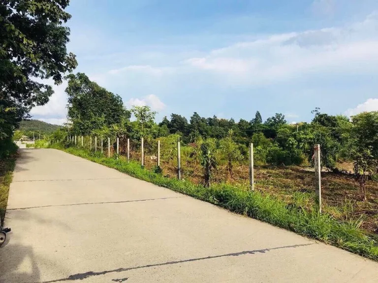 ที่ดินแบ่งโฉนดขาย ที่ตั้งบ้านหนองปลามัน ตห้วยทราย อแม่ริม จเชียงใหม่