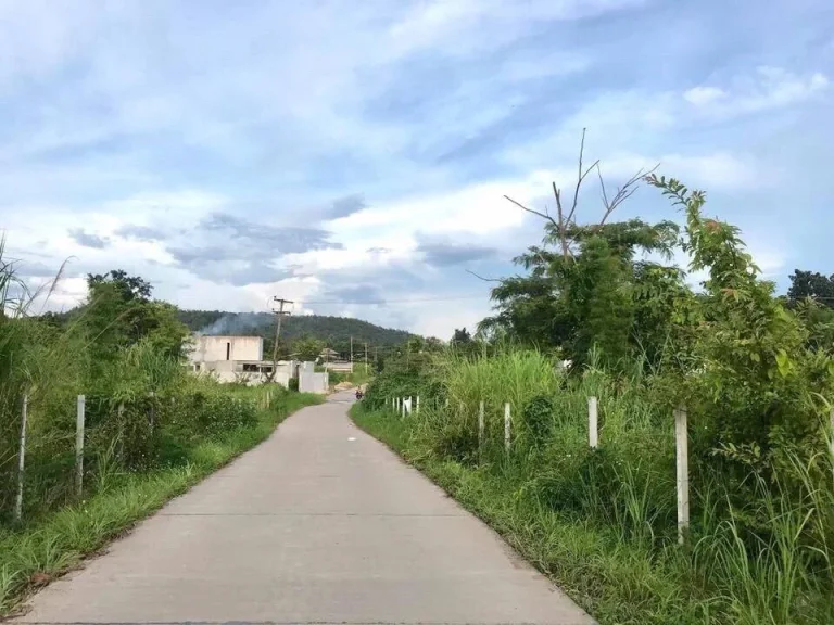 ที่ดินแบ่งโฉนดขาย ที่ตั้งบ้านหนองปลามัน ตห้วยทราย อแม่ริม จเชียงใหม่