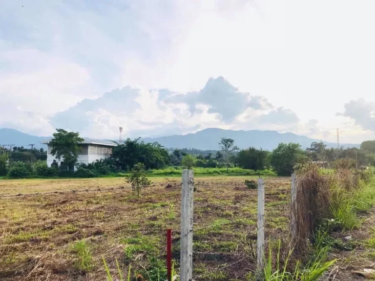 ที่ดินแบ่งโฉนดขาย ที่ตั้งบ้านหนองปลามัน ตห้วยทราย อแม่ริม จเชียงใหม่