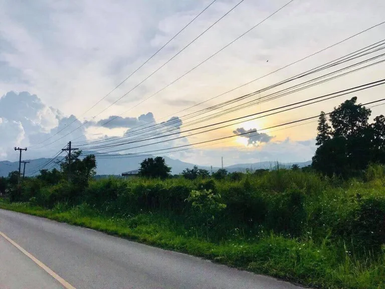 ที่ดินแบ่งโฉนดขาย ที่ตั้งบ้านหนองปลามัน ตห้วยทราย อแม่ริม จเชียงใหม่