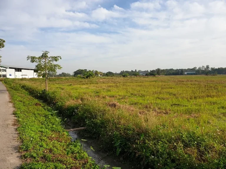 ขายที่ดินบ้านถวาย ห่างตลาดหางดง 58 km