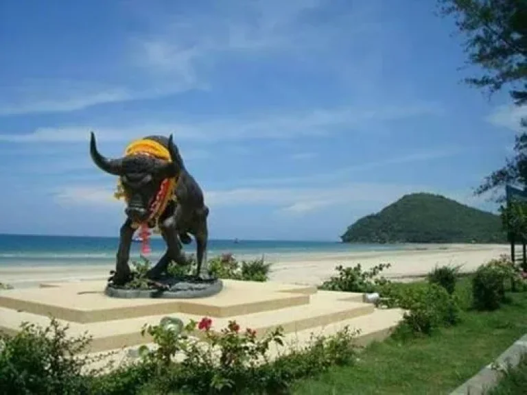 ขายที่ดินเปล่า ใกล้หาดทุ่งวัวแล่น ตำบลสะพลี อำเภอปะทิว จังหวัดชุมพร 50 ตรว