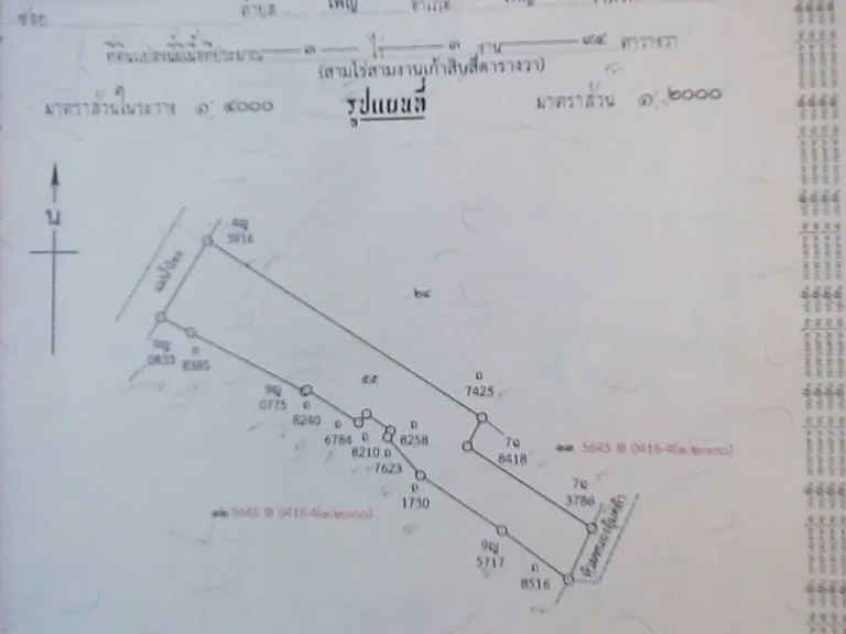 ต้องการขายที่ด่วน 2 แปลงๆ ละ 4 ไร่ ติดริมแม่น้ำโขง อรัตนวาปี จหนองคาย