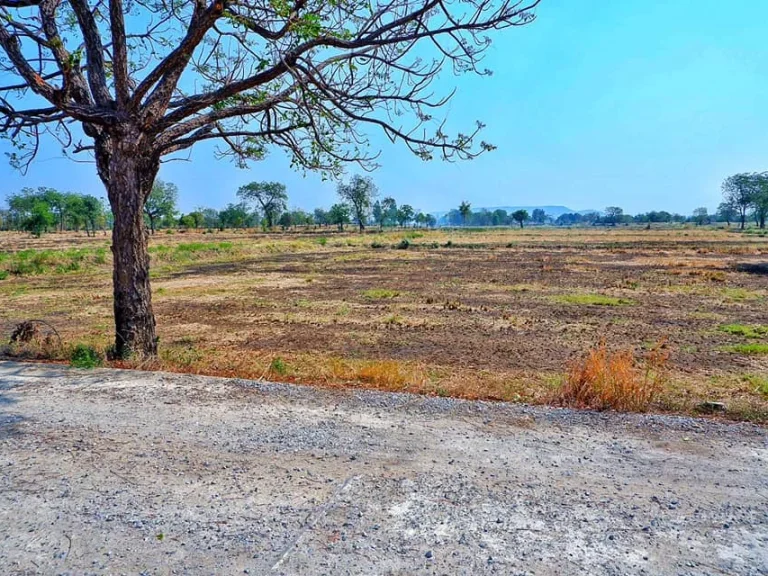 ที่ดิน โฉนด ติดคอนนกรีต