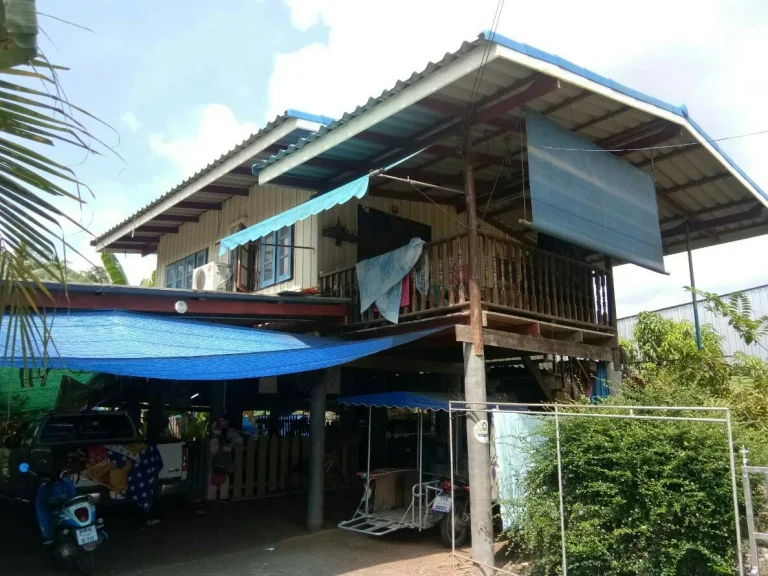 ขายที่โฉนดพร้อมบ้านไม้