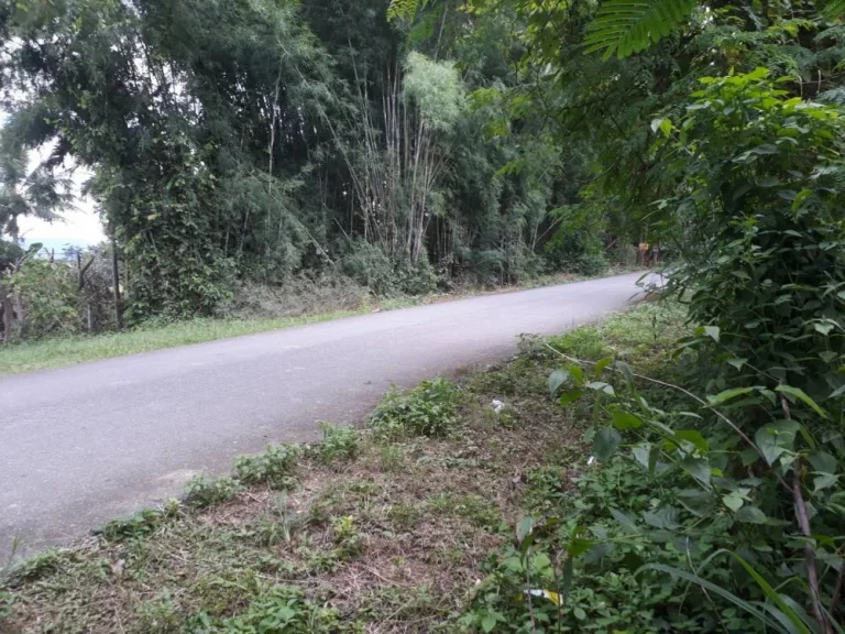 ขายที่ดินห่างพืชสวนโลก 15 km ราคาถูก