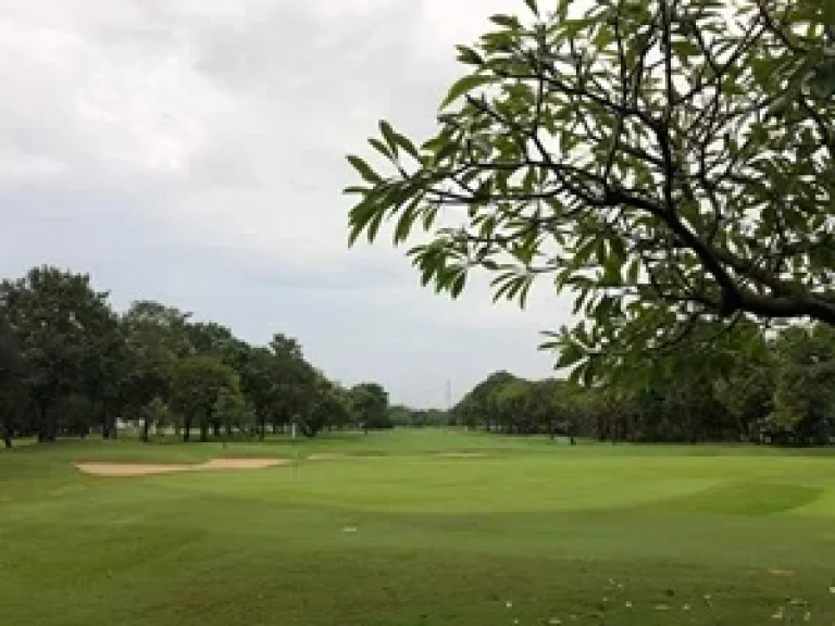 ขายที่ดินแปลงสวยในสนามกอล์ The Royal Gems Golf and Sport Club ศาลายา นครชัยศรี นครปฐม 331 ตรว