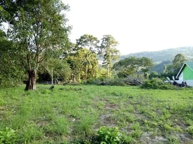 ขายที่ดิน 2ไร่ เกาะสมุย อแม่นำ้ ติดทะเลเกาะสมุย บริษัท เออีซีมาร์เก็ตติ้งโฮม AEC Marketing HOME