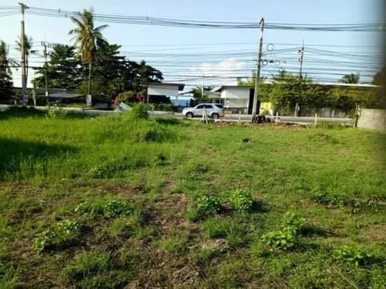 ขายที่ดิน 2ไร่ เกาะสมุย อแม่นำ้ ติดทะเลเกาะสมุย บริษัท เออีซีมาร์เก็ตติ้งโฮม AEC Marketing HOME