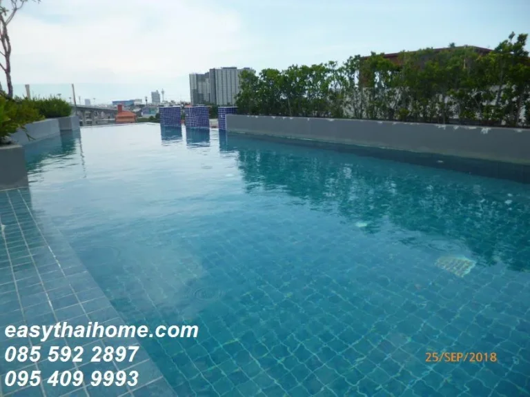 คอนโดให้เช่า Tropicana Condominium ทรอปิคาน่า คอนโดมิเนียม Tropicana Condominium ทางหลวงชนบท สมุทรปราการ 3044 บางเมืองใหม่ เมืองสมุทรปราการ 1 ห้องน