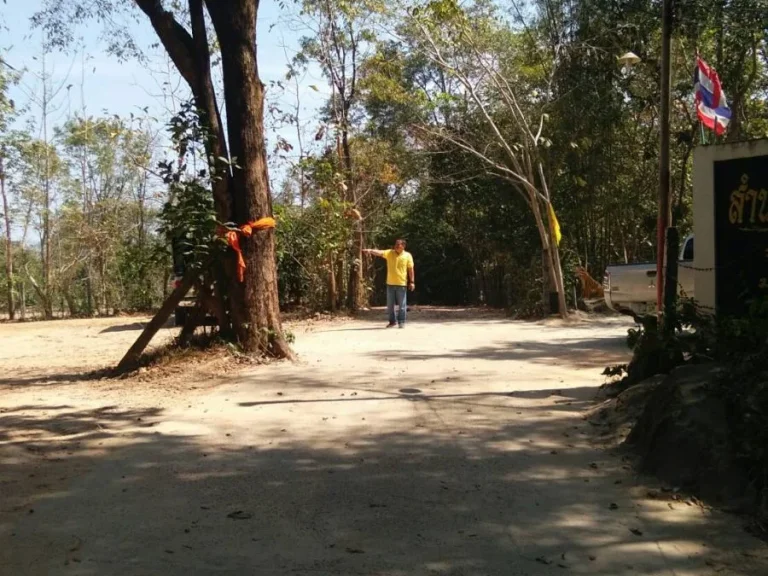 ขายที่ดิน ทางขึ้นวัดรอยพระบาทภูมโนรมย์