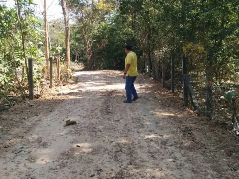 ขายที่ดิน ทางขึ้นวัดรอยพระบาทภูมโนรมย์