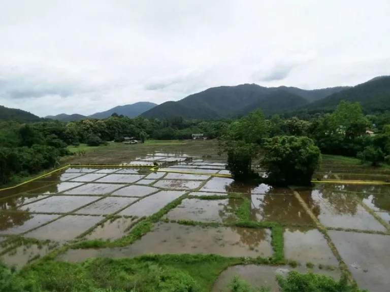 ที่วิวภูเขา ใกล้รีสอร์ทวังธาร ดอยสะเก็ด เชียงใหม่