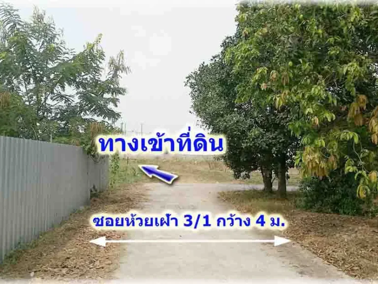 ขายที่ดินติดถนนสาธารณะ 3 ด้าน โซนนิคมอุตสาหกรรมปิ่นทอง1 อศรีราชา จชลบุรี