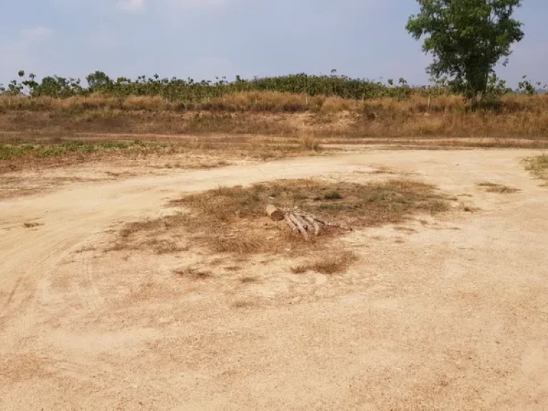 ที่ดิน เขาไม้แก้ว สุขุมวิท บางละมุง ชลบุรี